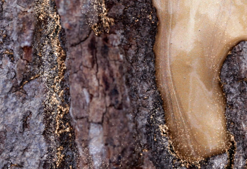 Comme des Garçons - Perfume Wonderoud